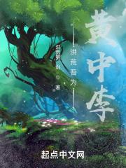 洪荒吾为人皇