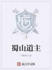 蜀山有道士