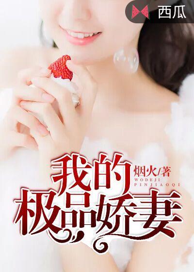我的极品老婆电视剧分剧集介绍