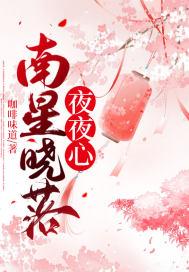 晓夜星沉