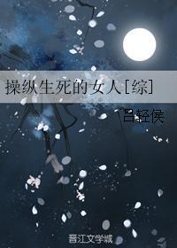 操纵什么
