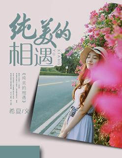 纯美的相遇结局是什么