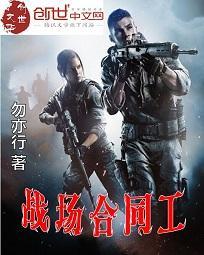 战场合同工完结篇