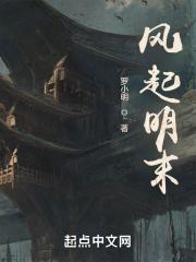 风起明末TXT免费