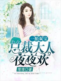 一胎双宝总裁大人夜夜欢_