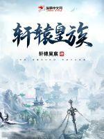 轩辕皇族和季家