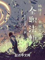 全职法师之我要推翻圣城