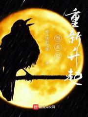 当太阳重新升起解密