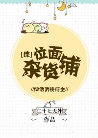综位面杂货铺二十七