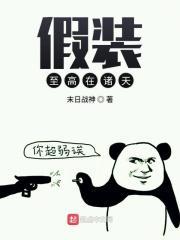 假装至高在诸天笔趣阁