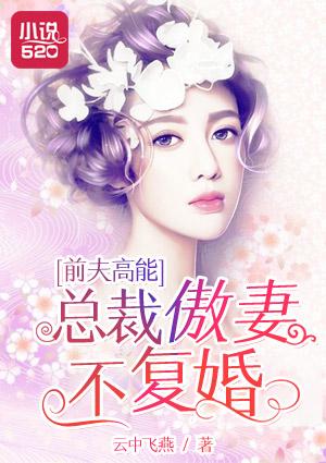 前夫总裁前妻缠不休