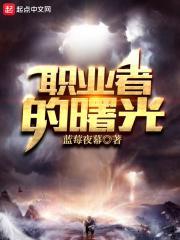 职业者的曙光扫书