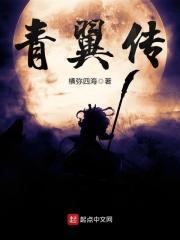 青翼传音什么意思