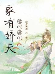 家有娇夫是什么意思
