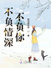 不负情深不负你顾承安徐青离