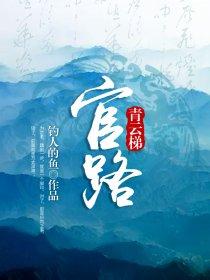 官路青云梯完整版免费