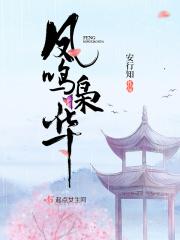 凤鸣轩免费阅读网