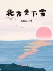 北方下雪的图片真实
