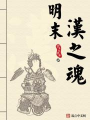 明末汉之魂 实在闲得疼笔趣阁