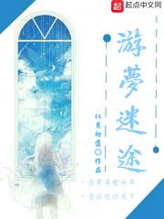 梦游者谜罪是什么
