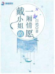 戴小姐的店