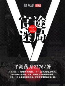 官途迷局女镇长完整版林放