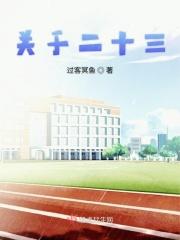 二十三条