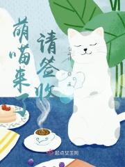 宠妻无度傲娇总裁