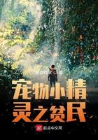 宠物小精灵之贫民男主有几只我可梦
