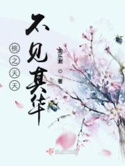 桃之夭夭下一句怎么读