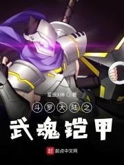 斗罗之武魂铠甲勇士