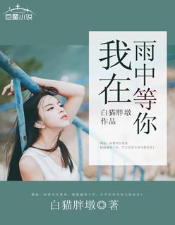 我在雨中等你国语版