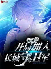 王者开局加入长城守卫军飞卢