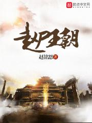 赵宋王朝第四部在线阅读