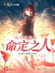哈利波特定身咒