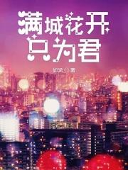 满城花只为一人开