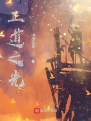 这我tm直接正道的光