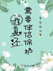 我真不需要伴侣保护的说说