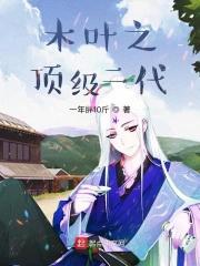 木叶顶级二代