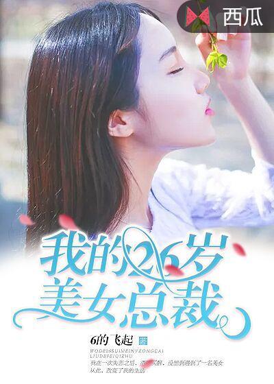 我的26岁美女总裁辰南结局