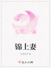 锦上妻类别穿越作者 诗雨如梦