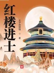 红楼进士飞卢网