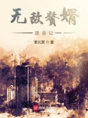 超级无敌赘婿
