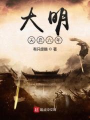 大明天启六年有哪些藩王
