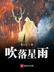 风吹落星如雨