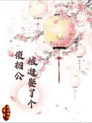 我被迫娶了一个傻子千金
