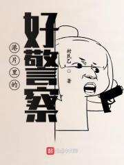 港片里的好警察txt