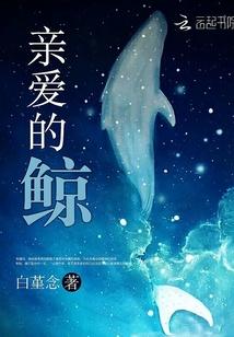 亲爱的鲸鱼小姐结局是什么