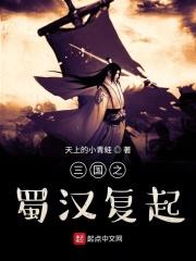 三国之蜀汉复兴