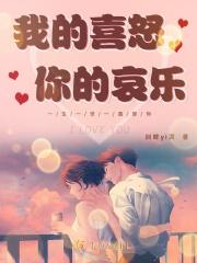 我的喜怒我的哀愁歌词